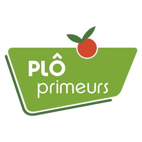 ploprimeur